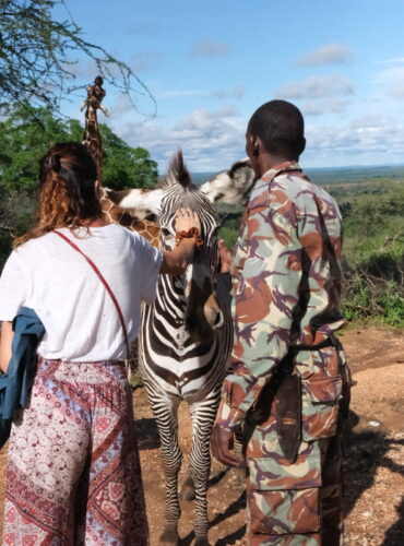 meeting a zebra