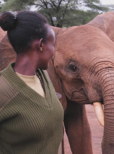 naomi and elephant