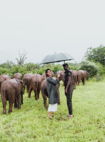 laura and colman with the herd