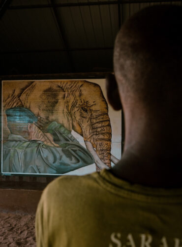 a ranger watching an elephant painting